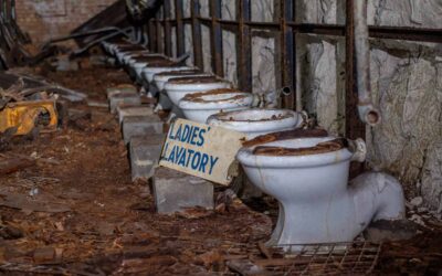 The Future of the Global Sanitation Crisis