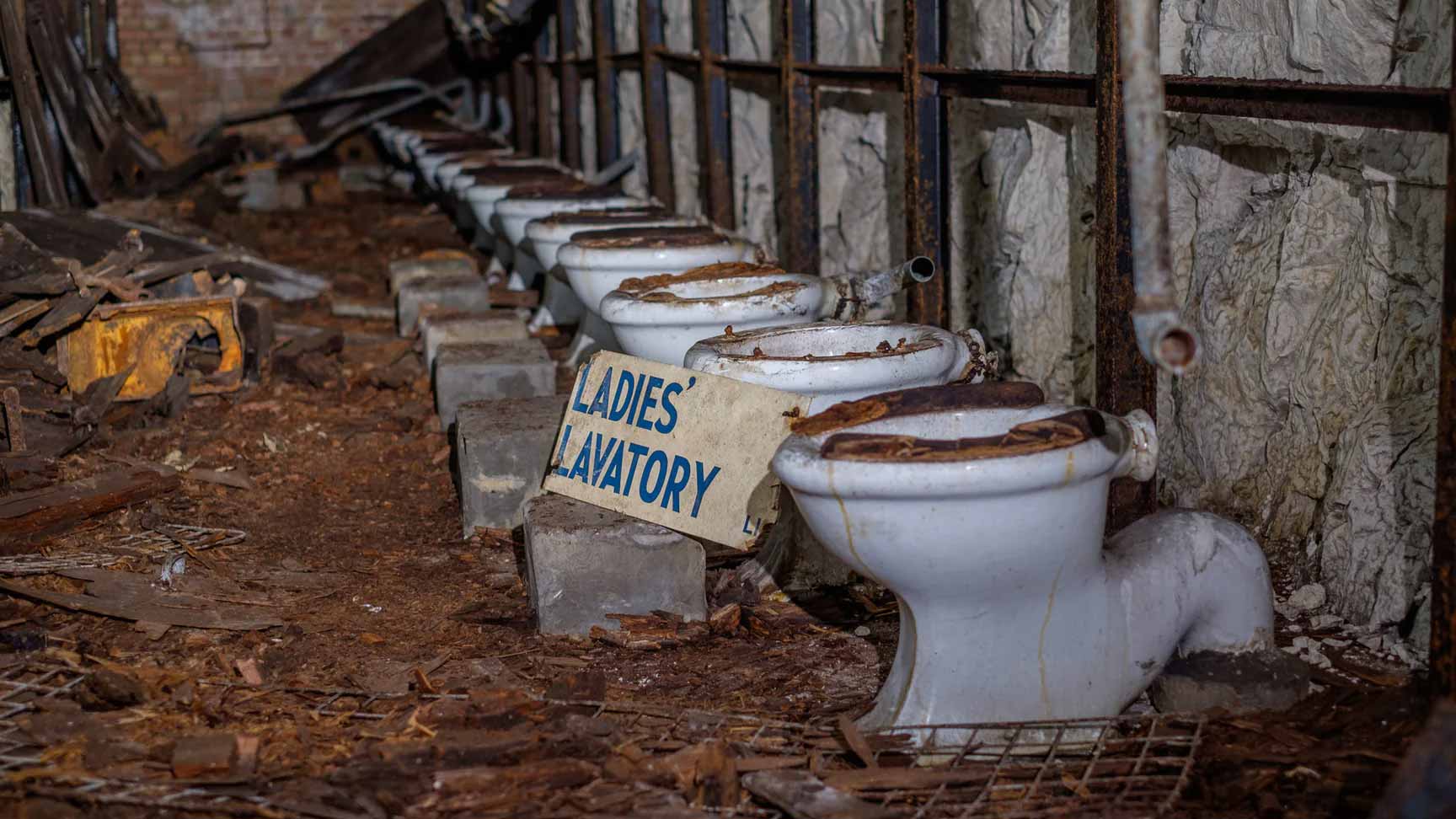 The Future of the Global Sanitation Crisis