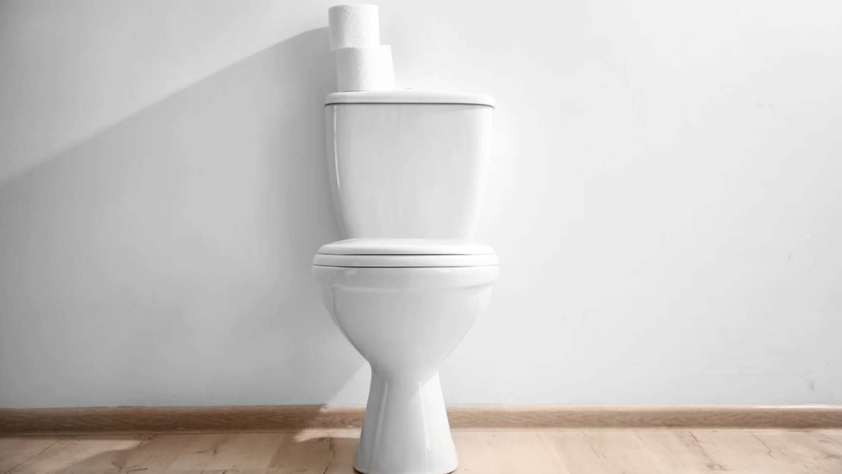 Why is the Toilet Called a 'Loo'?